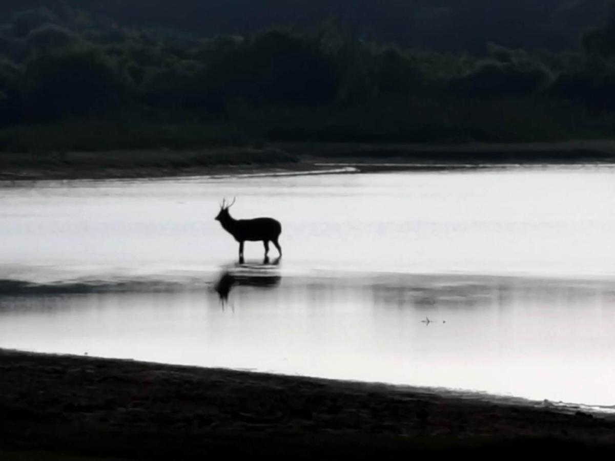 Julia Safari Inn Тіссамахарама Екстер'єр фото